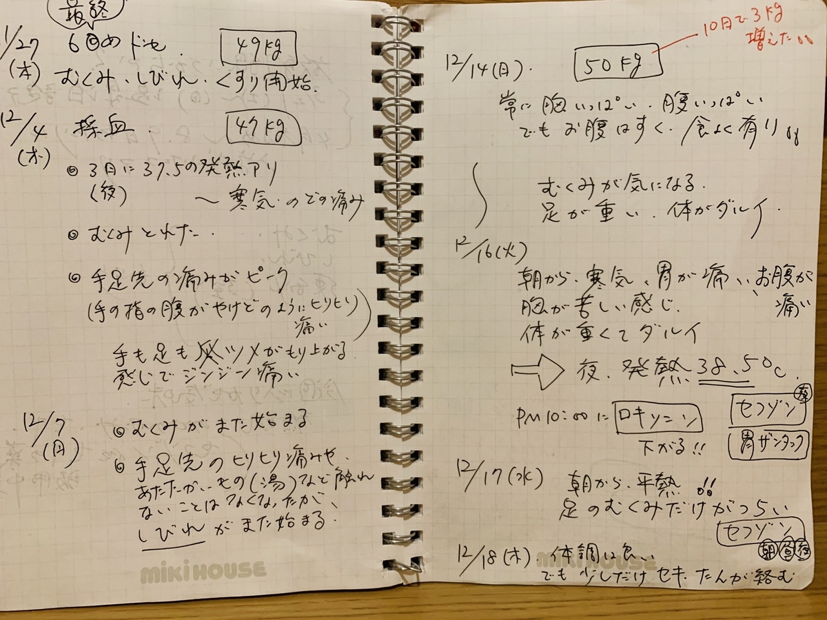 f:id:purikoko:20201204154955j:plain