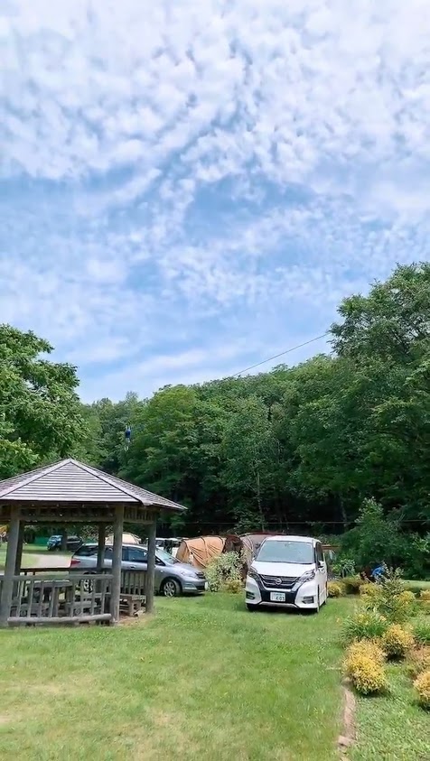 f:id:purikoko:20210222212215j:plain