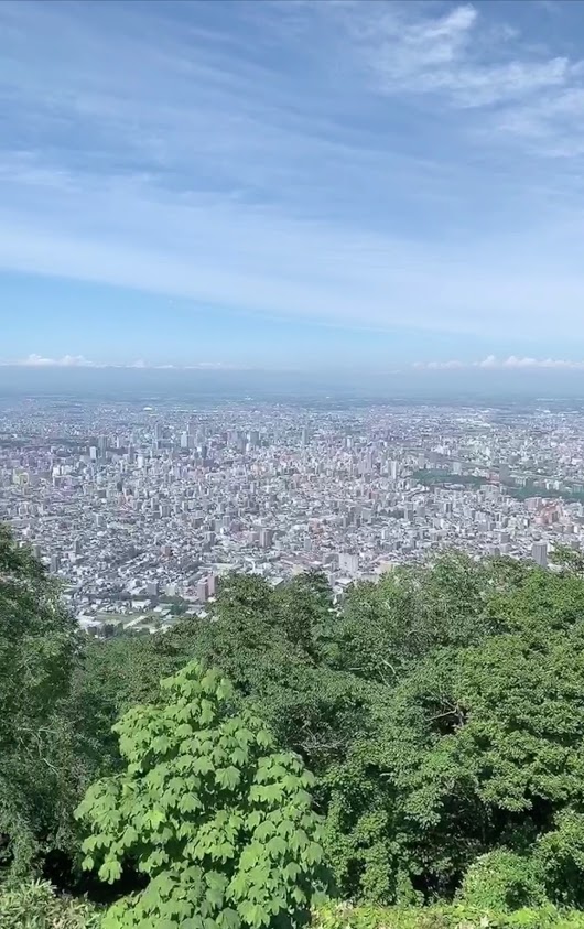 f:id:purikoko:20210222230646j:plain