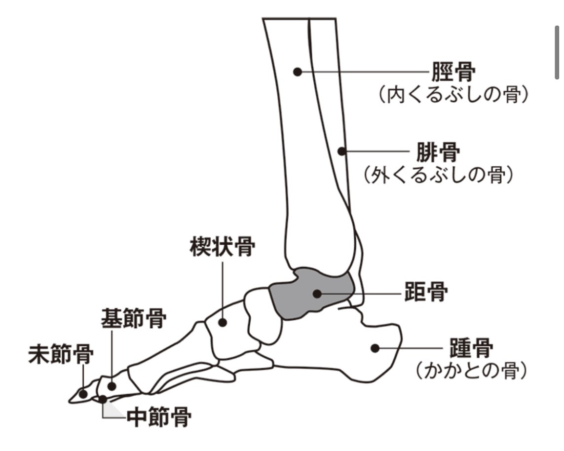f:id:purikoko:20210404082842j:plain