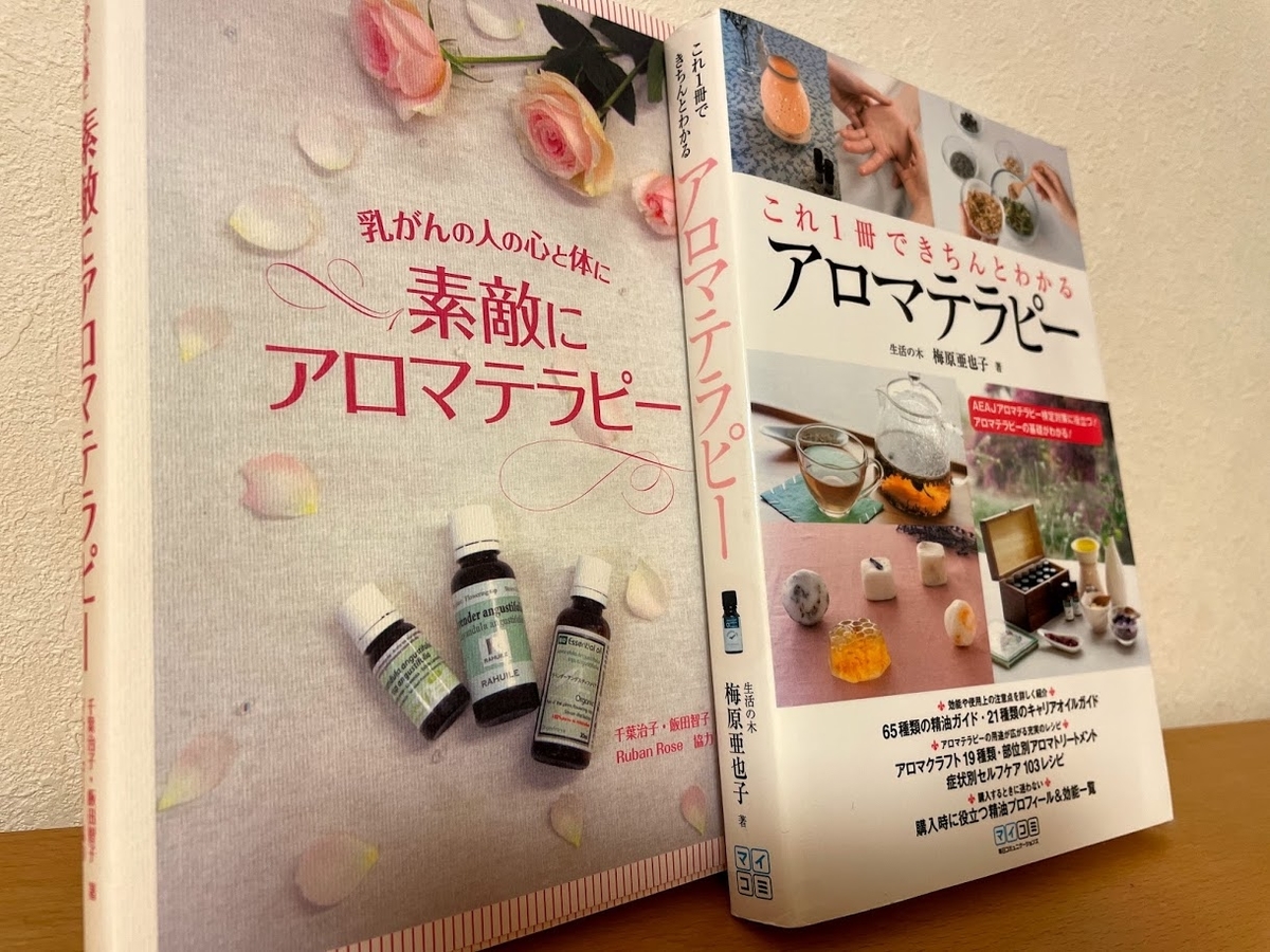 f:id:purikoko:20210523205312j:plain