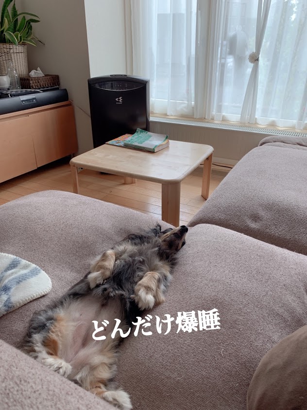f:id:purikoko:20210612205232j:plain