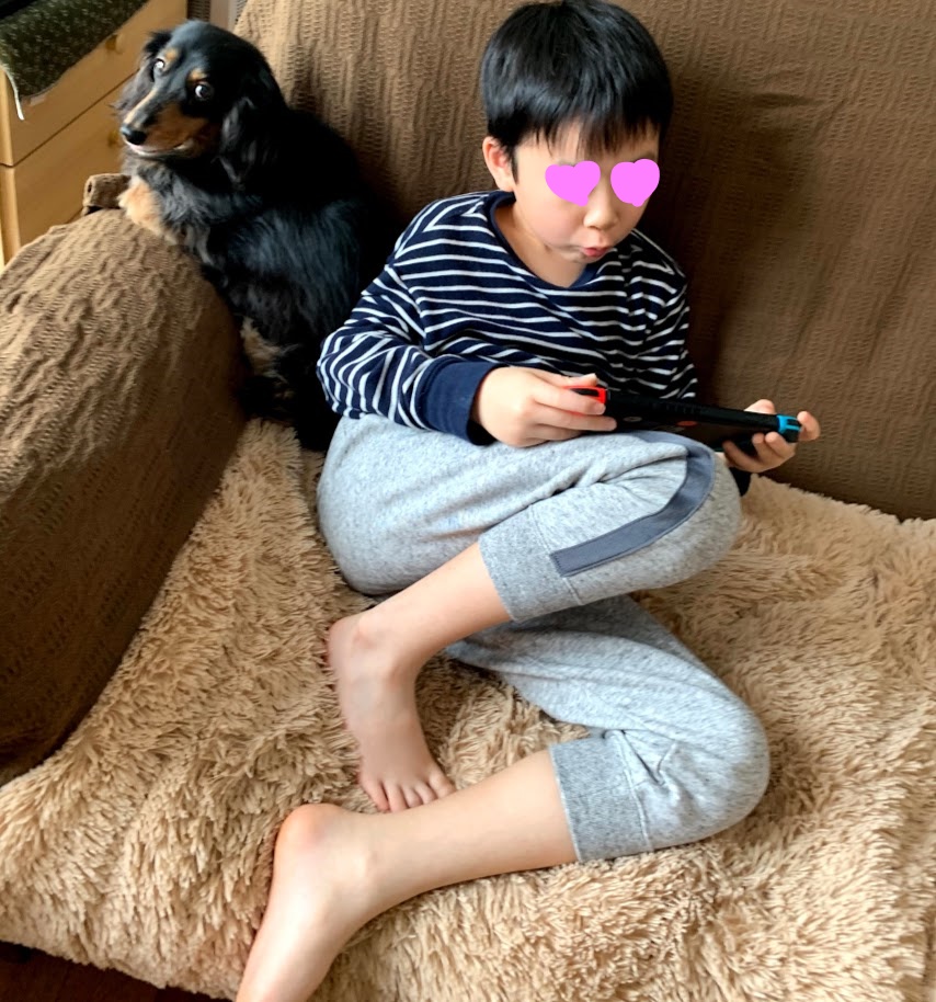 f:id:purikoko:20210613063348j:plain
