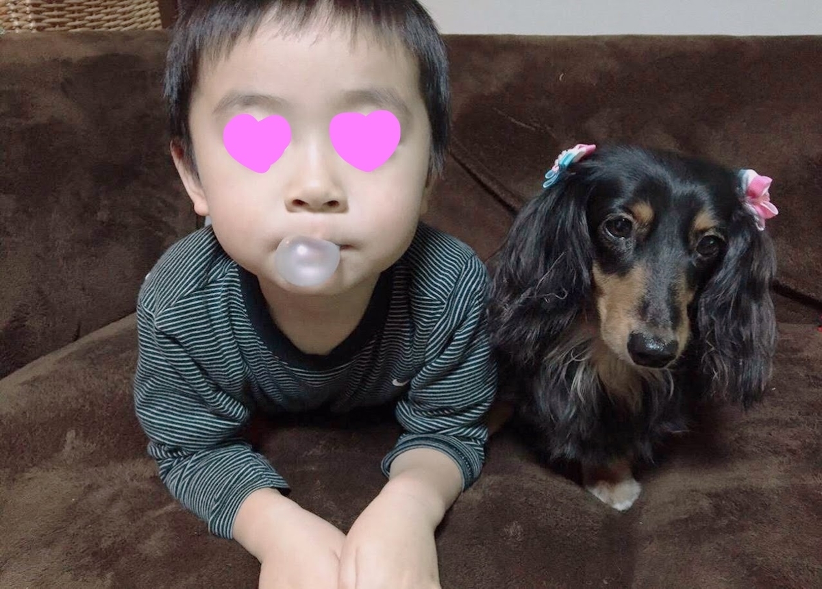 f:id:purikoko:20210613063736j:plain