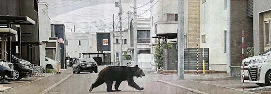 f:id:purikoko:20210622224433j:plain