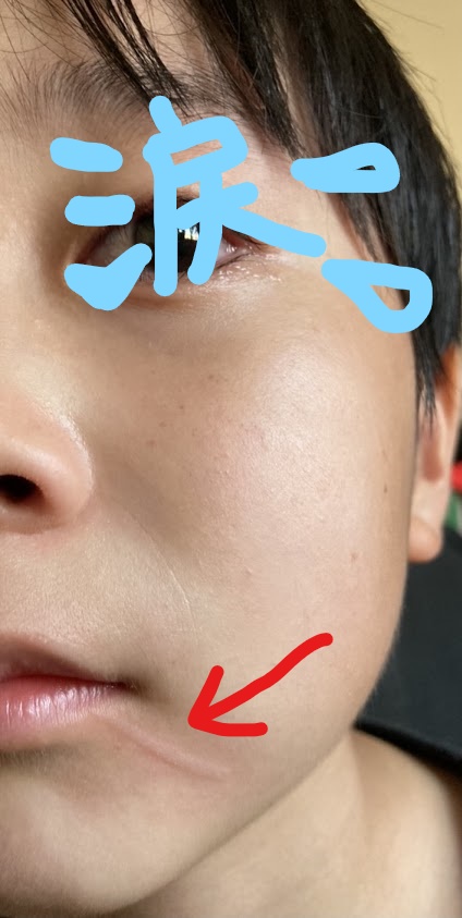 f:id:purikoko:20210703224337j:plain