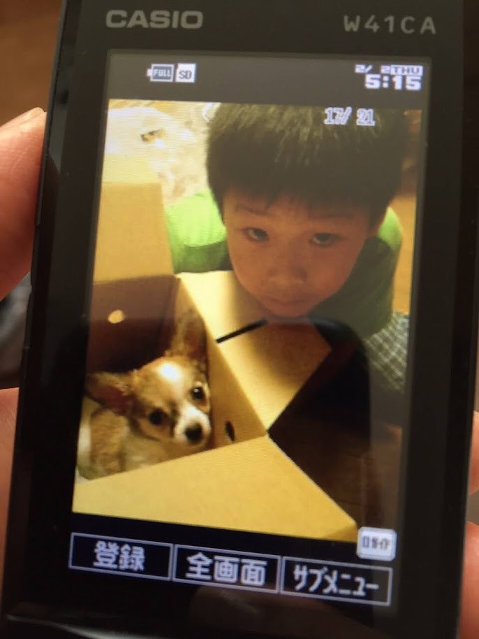 f:id:purikoko:20211125104019j:plain