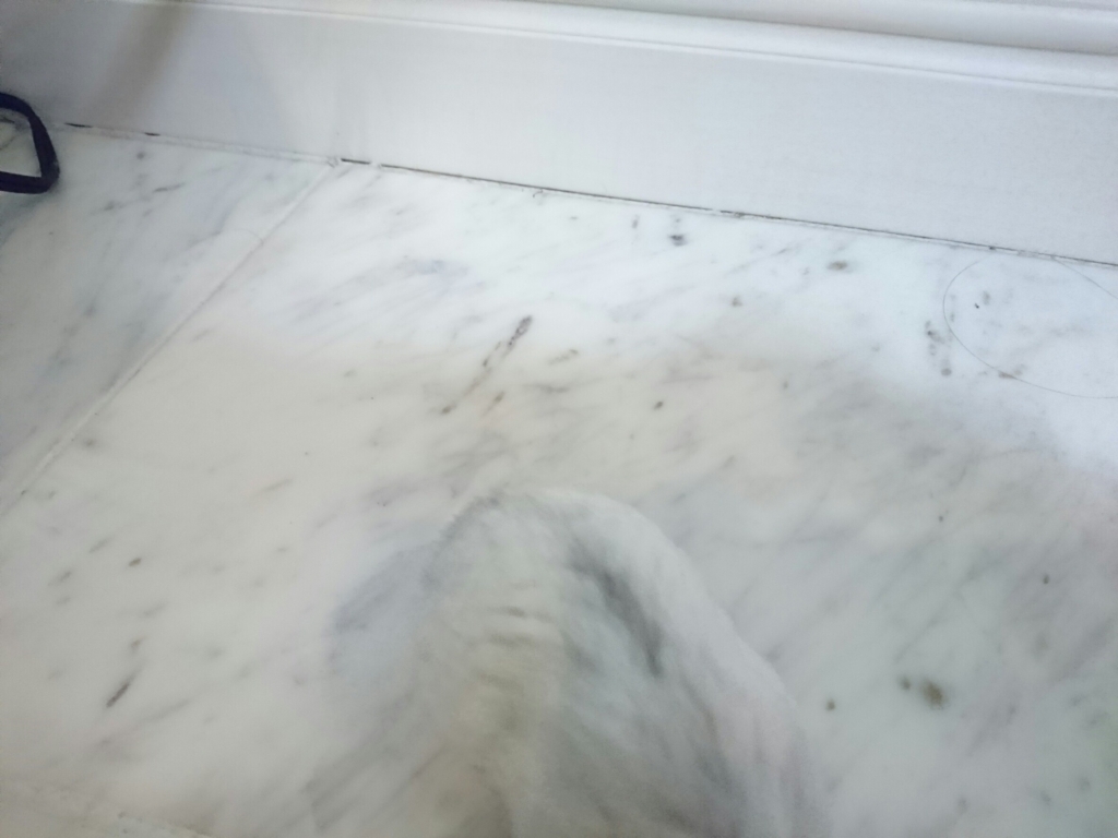 f:id:purimaro:20180802050905j:plain