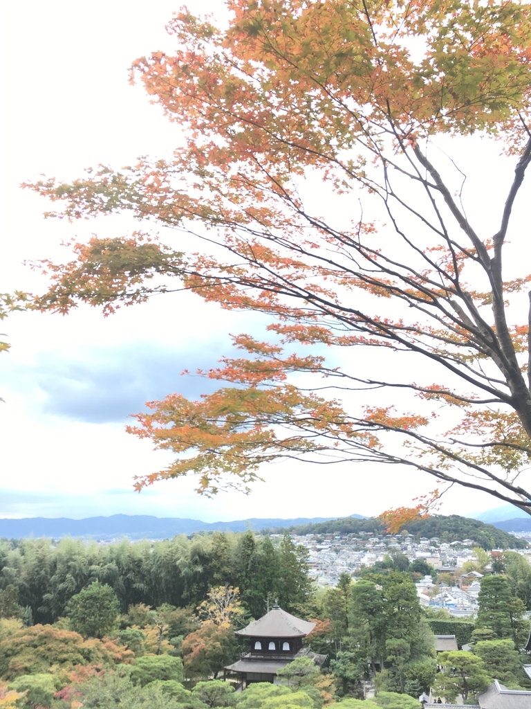f:id:purimaro:20181110203351j:plain
