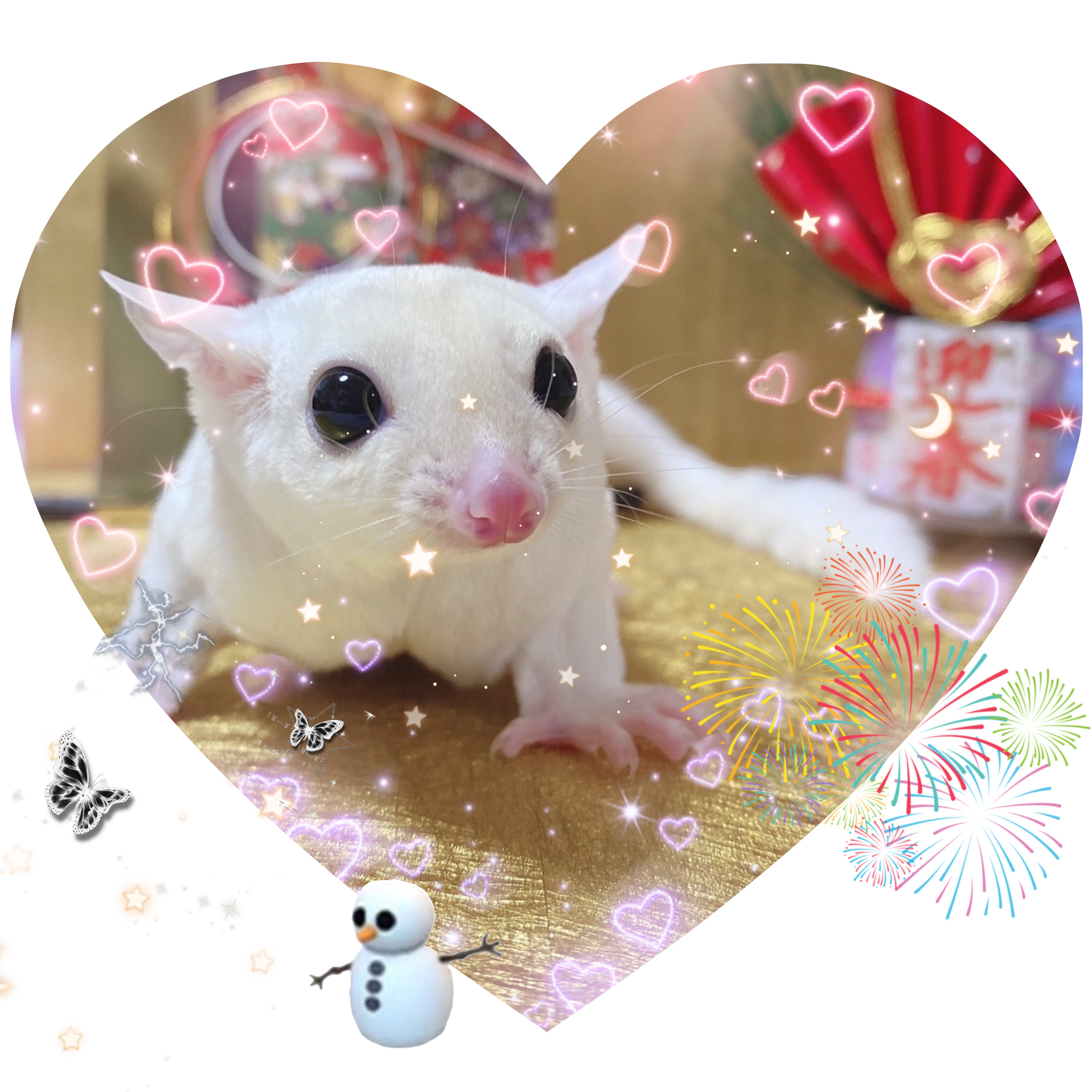 f:id:purimomo2020m:20210204000234j:plain