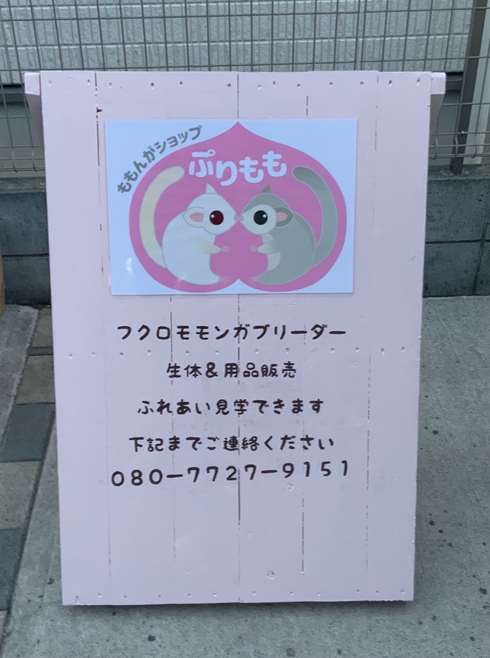 f:id:purimomo2020m:20210305045218j:plain