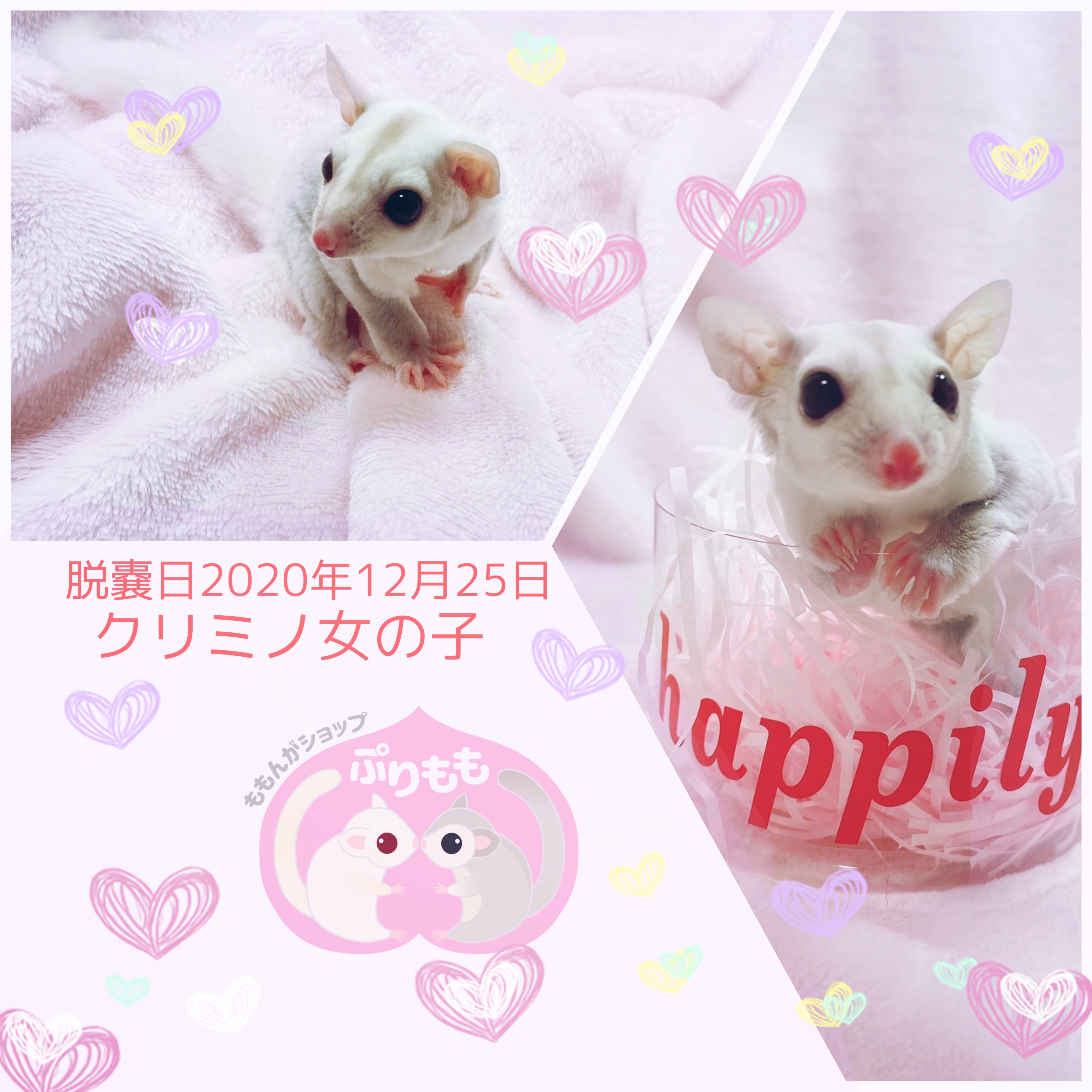 f:id:purimomo2020m:20210320020059j:plain