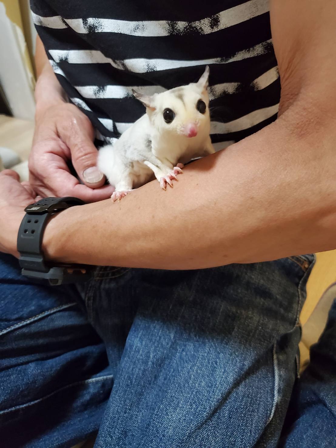 f:id:purimomo2020m:20210613143841j:plain