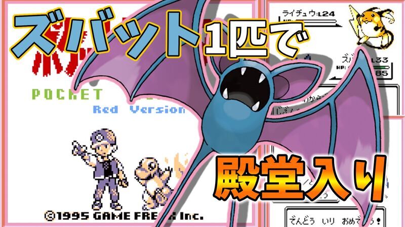 ズバット1匹で殿堂入り