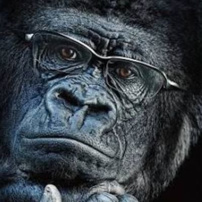 f:id:purindaimaooo:20190911190927j:plain