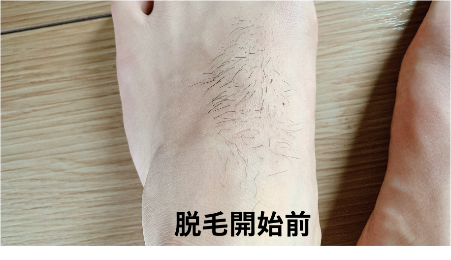 f:id:purinnchan:20210630102416p:plain