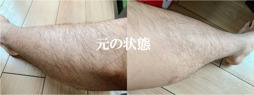 f:id:purinnchan:20210805114442p:plain