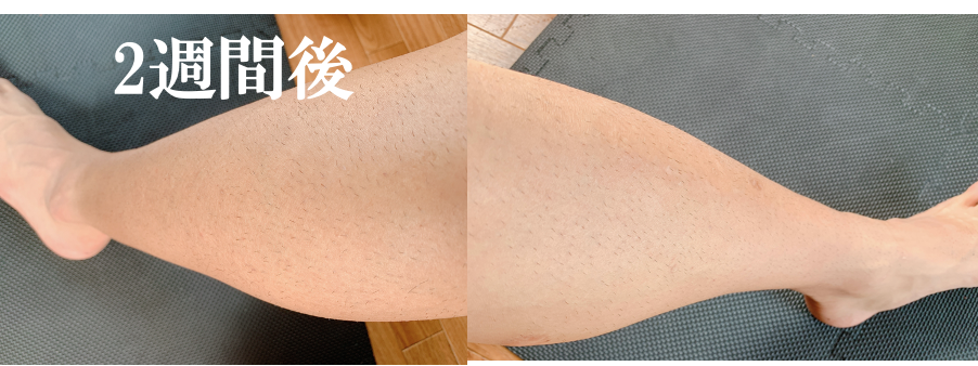 f:id:purinnchan:20210805140511p:plain