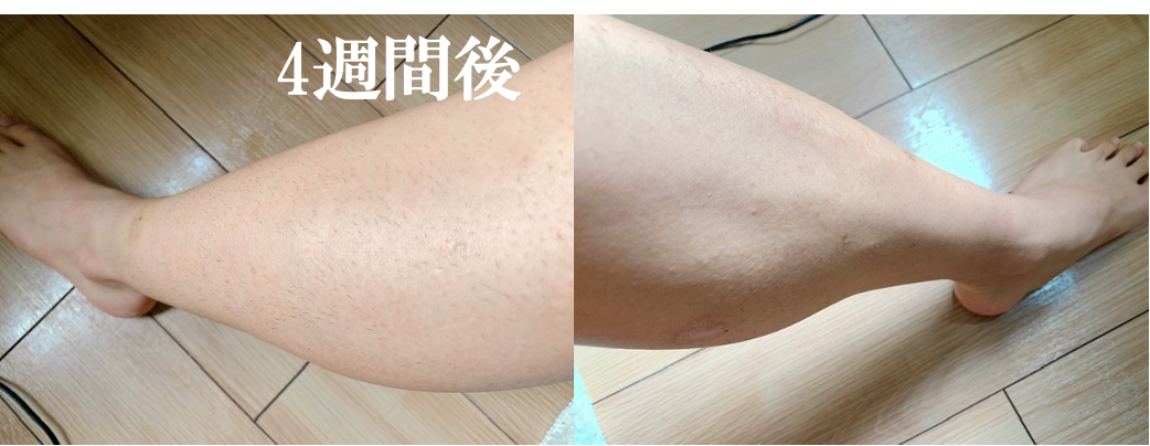 f:id:purinnchan:20210805140938p:plain