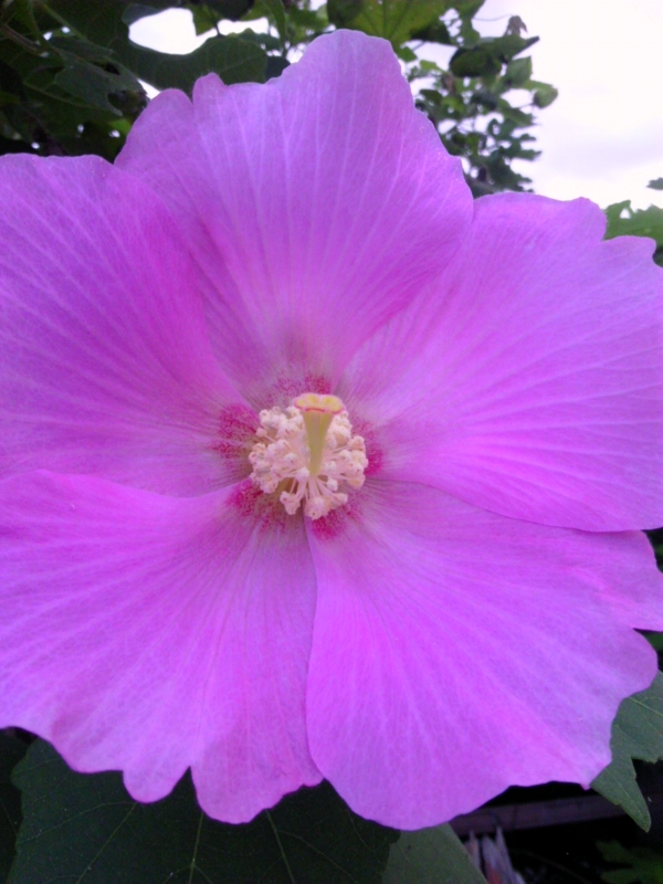 f:id:purinnohaha:20110910063554j:image f:id:purinnohaha:20110910063554j:image