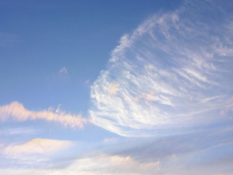 f:id:purinnohaha:20111101064345j:image