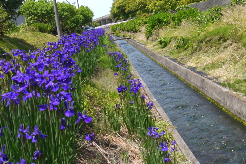 f:id:purinnohaha:20180505113932j:image f:id:purinnohaha:20180505113932j:image