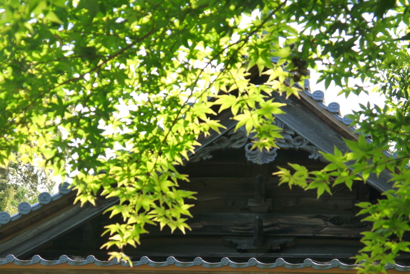f:id:purinnohaha:20180613102315j:image f:id:purinnohaha:20180613102315j:image