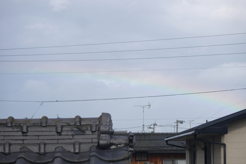 f:id:purinnohaha:20180708075910j:image f:id:purinnohaha:20180708075910j:image