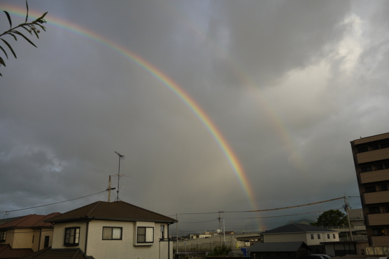 f:id:purinnohaha:20180729183751j:image f:id:purinnohaha:20180729183751j:image