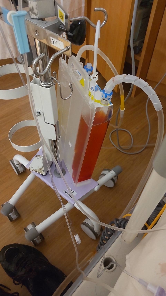 Puripuri2100が進捗の報告をするようです