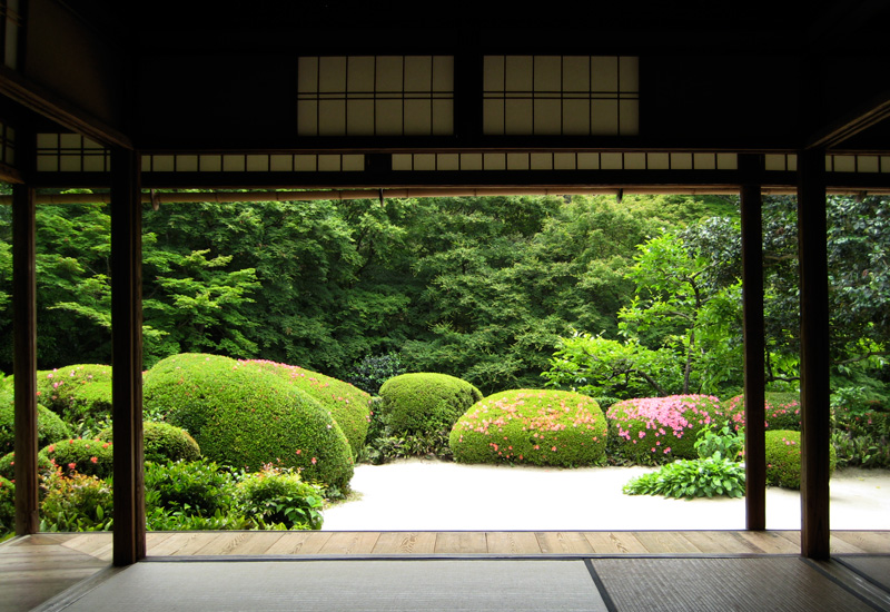 f:id:puripuri74:20120613001125j:image:w450 f:id:puripuri74:20120613001125j:image:w450