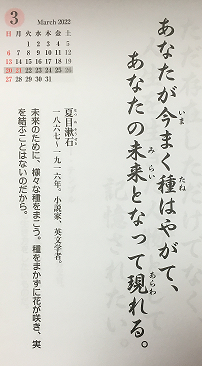 f:id:puromanesan:20220319225738p:plain