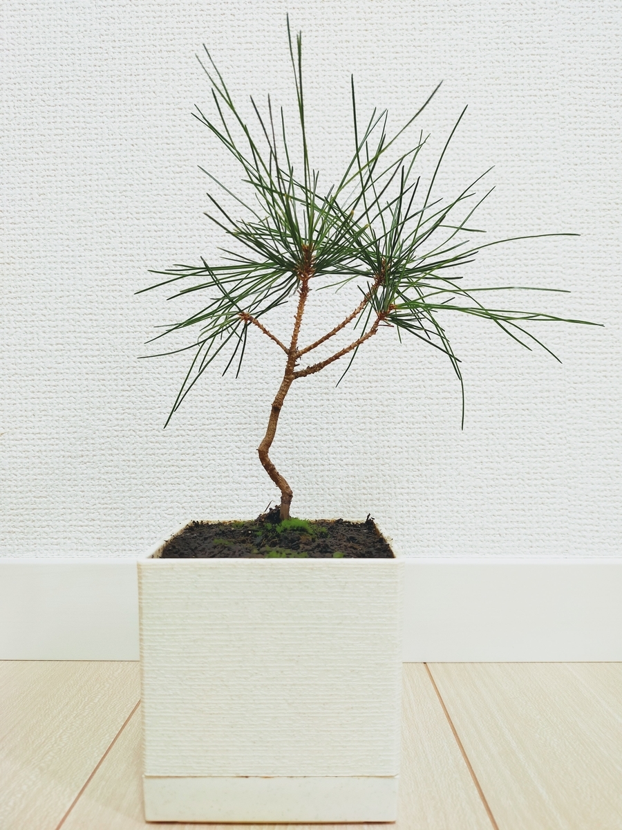 f:id:purple-karashi:20210913133124j:plain:w400