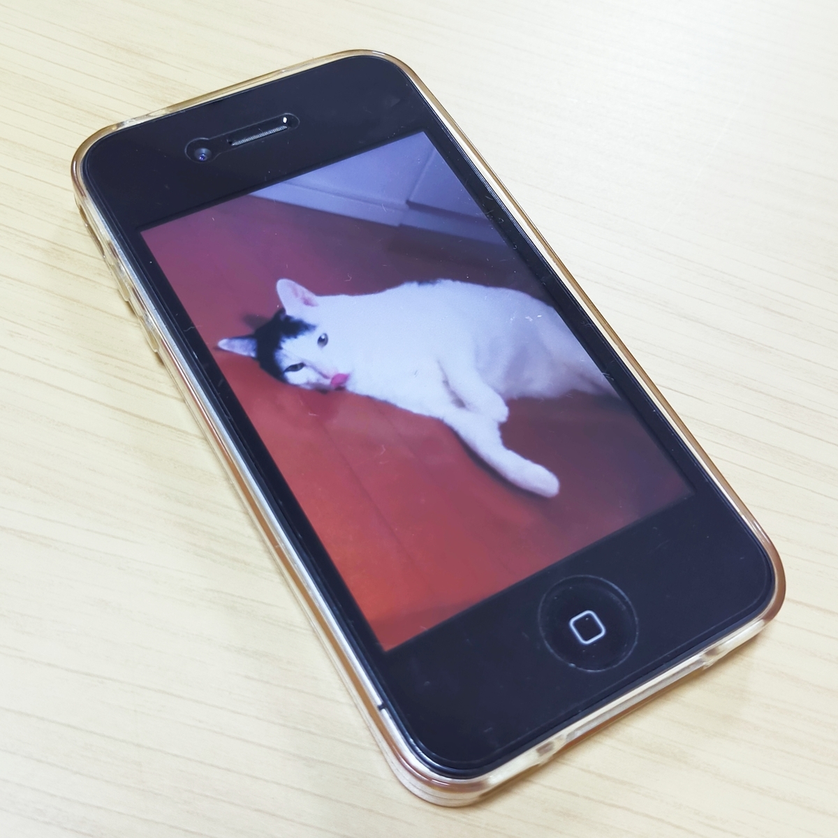 iPhone4：まだまだ現役 - 紫からし検品所