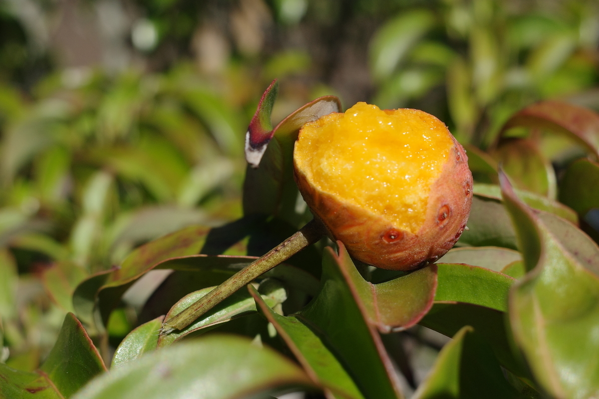 f:id:purplerainbow:20201013184024j:plain