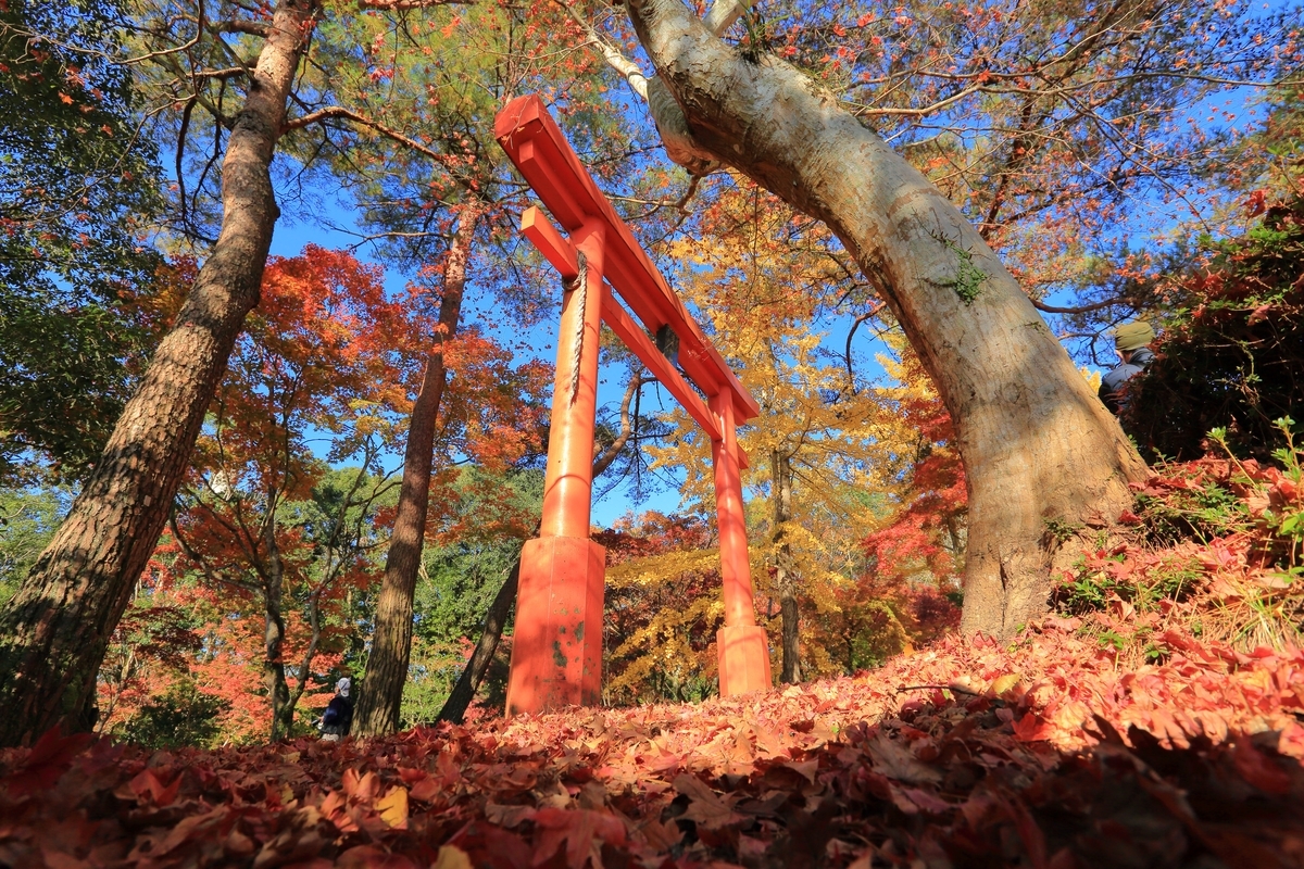 f:id:purplerainbow:20201117195707j:plain