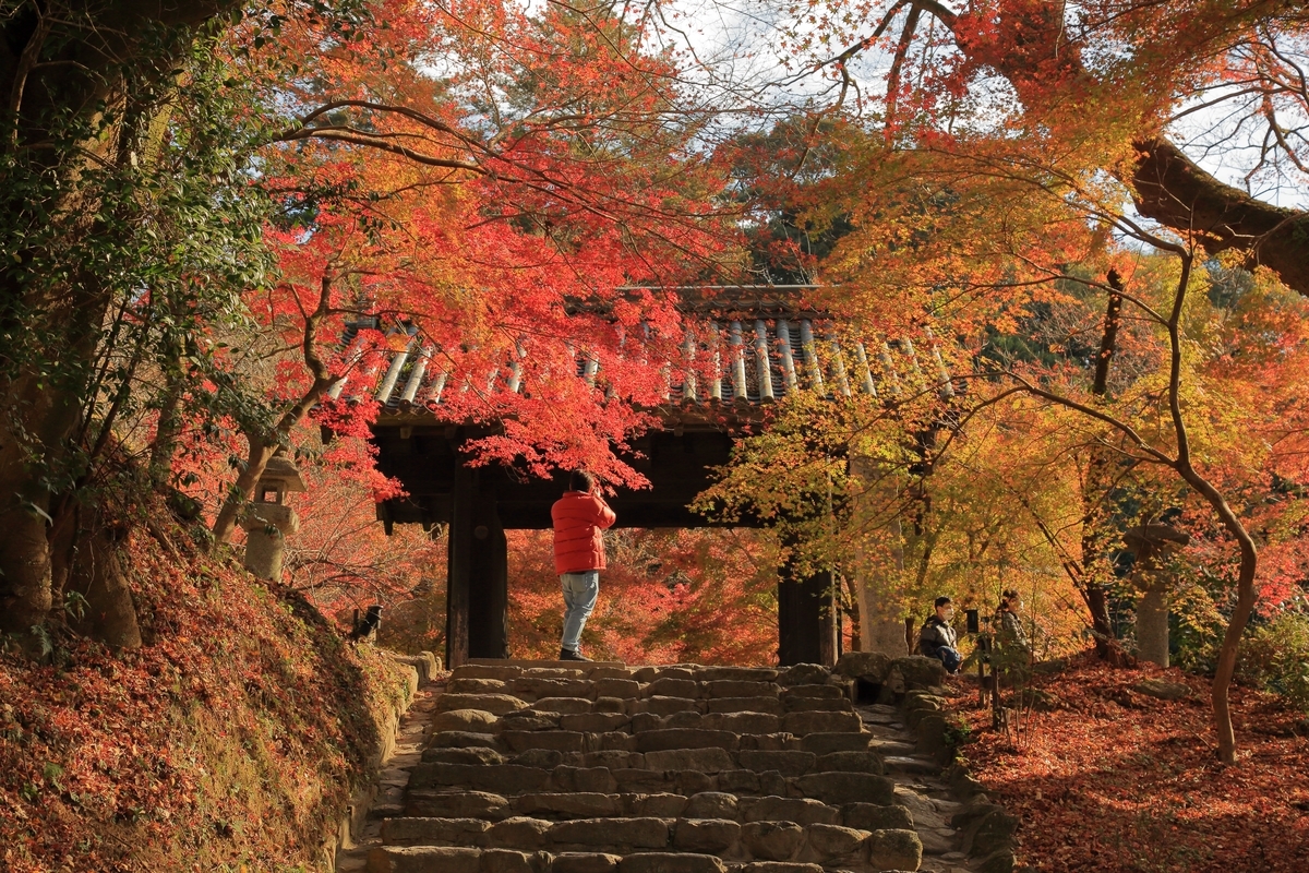 水彩画ジクレー版画「秋月城跡 黒門の紅葉」（朝倉市）