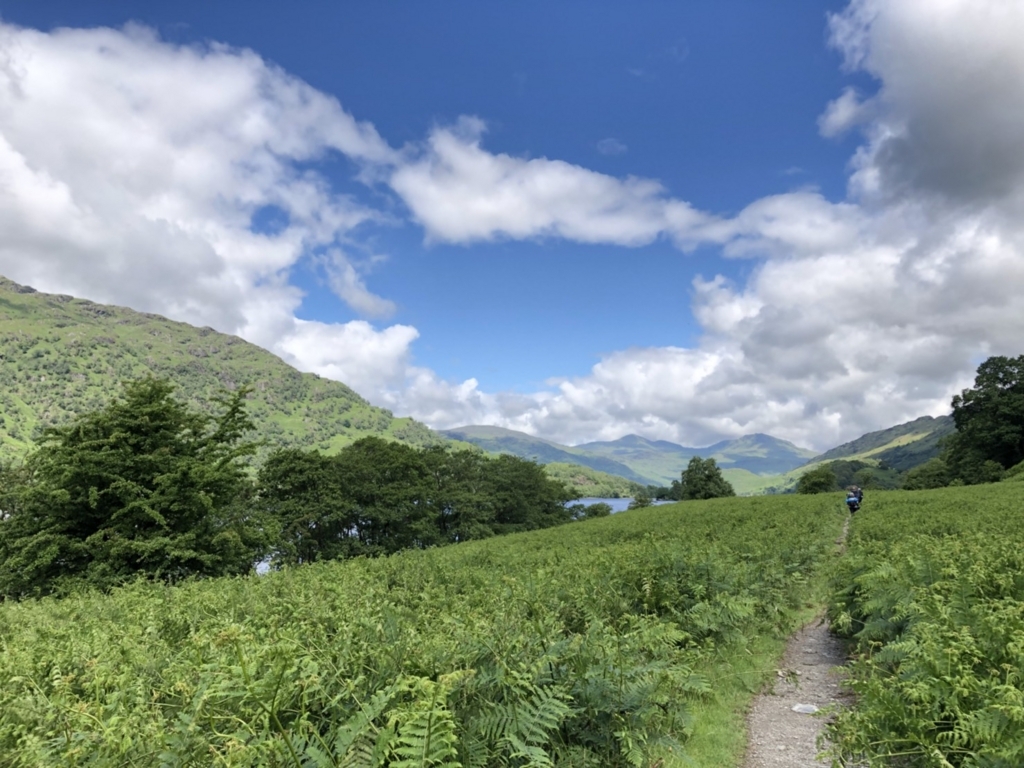f:id:pursuitofrandomness:20180708210226j:plain f:id:pursuitofrandomness:20180708210226j:plain