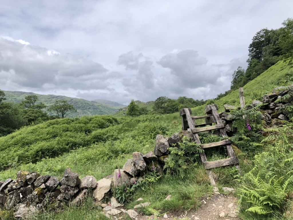 f:id:pursuitofrandomness:20180708220835j:plain f:id:pursuitofrandomness:20180708220835j:plain