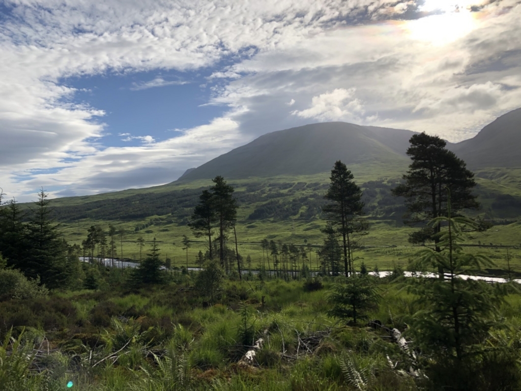 f:id:pursuitofrandomness:20180708221128j:plain f:id:pursuitofrandomness:20180708221128j:plain