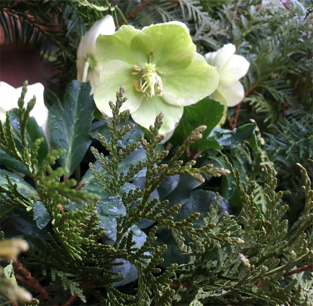 f:id:purupuria:20171210191019j:image