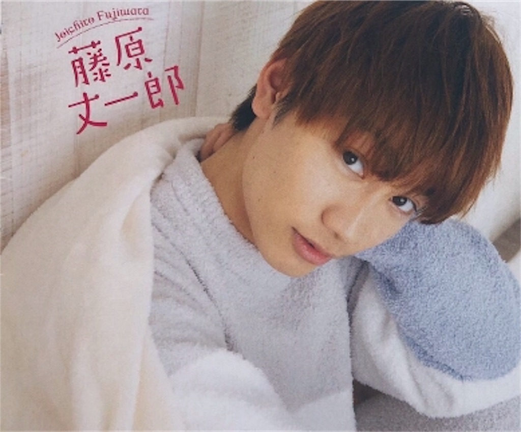 f:id:purupurupurun:20190404103058j:image