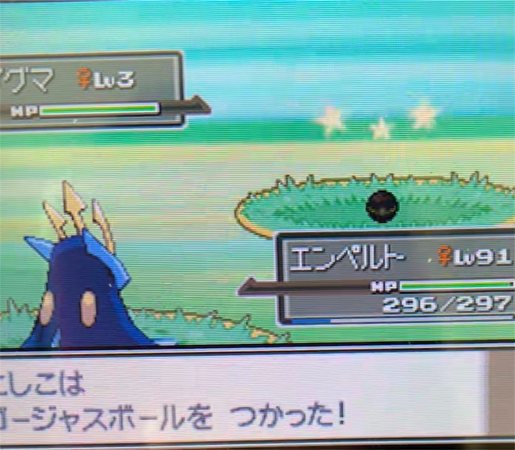 色違いジグザグマ 色違いポケモンをひたすら集めるブログ Route245
