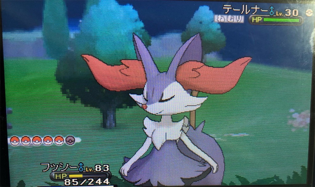 色違いテールナー 色違いポケモンをひたすら集めるブログ Route245