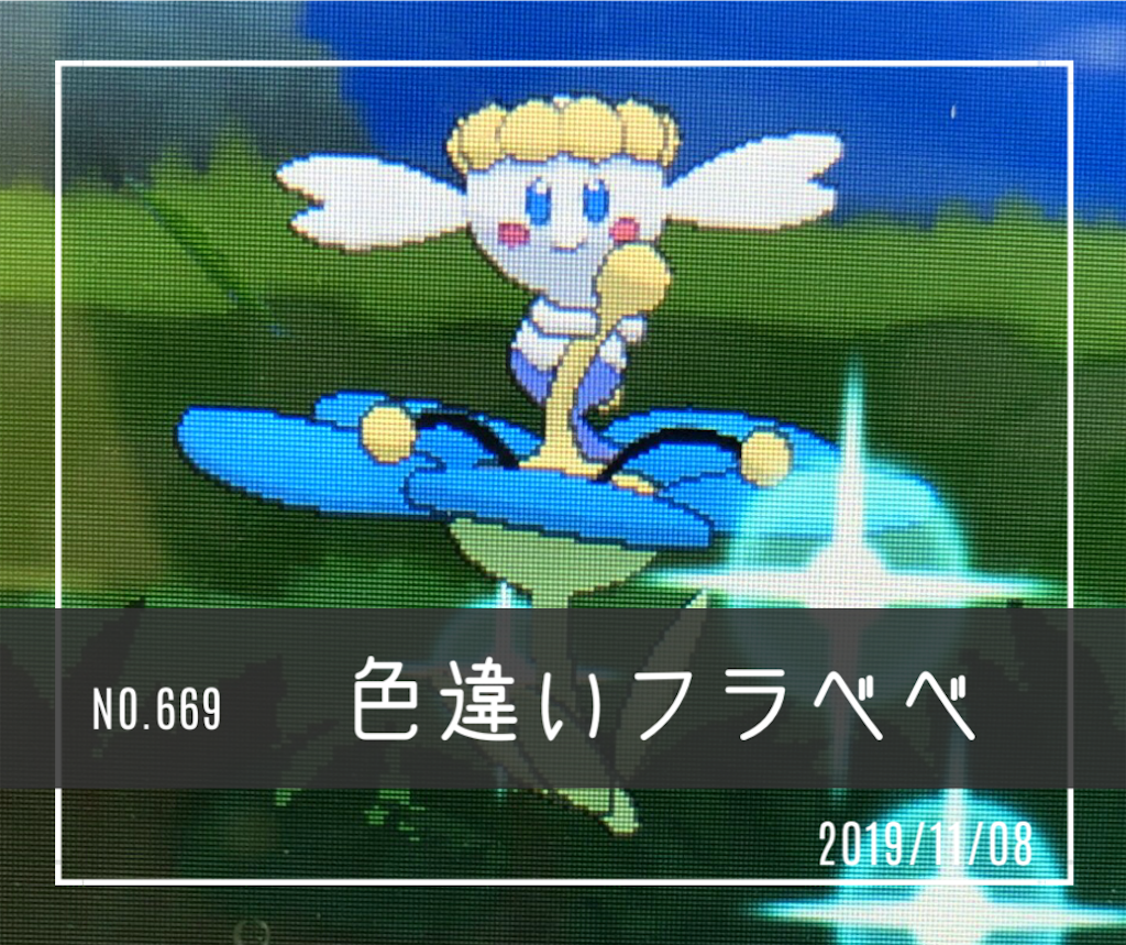 X 色違いフラベベ 色違いポケモンをひたすら集めるブログ Route245