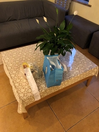 f:id:putaotao:20191231003452j:plain f:id:putaotao:20191231003452j:plain