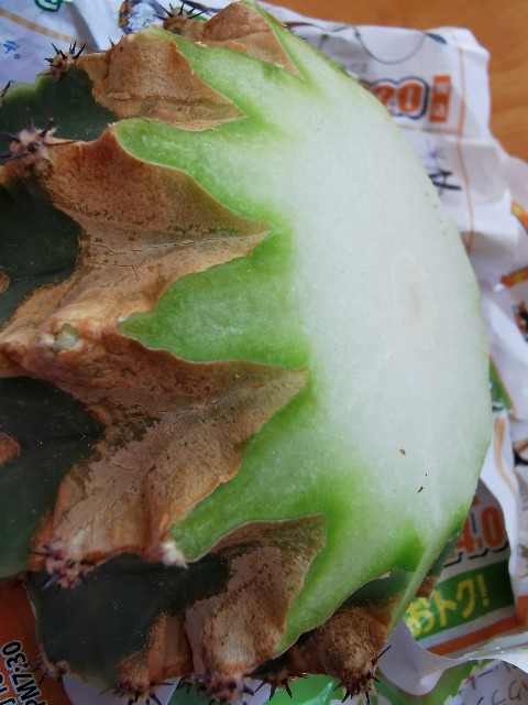 f:id:putetan:20220420192436j:image