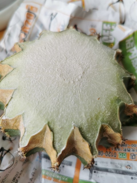 f:id:putetan:20220420192549j:image