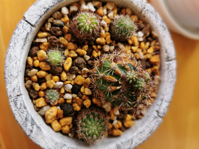 f:id:putetan:20220420194244j:image