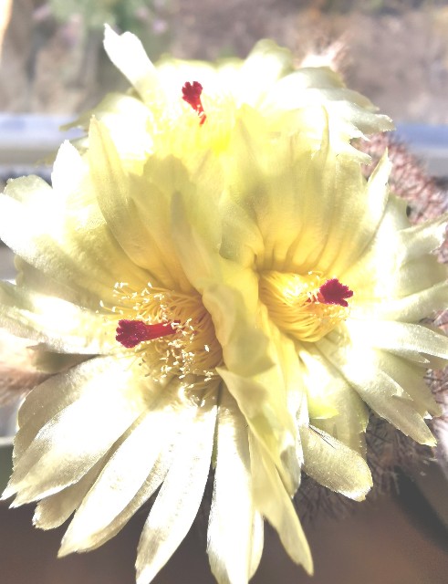 f:id:putetan:20220430103520j:image